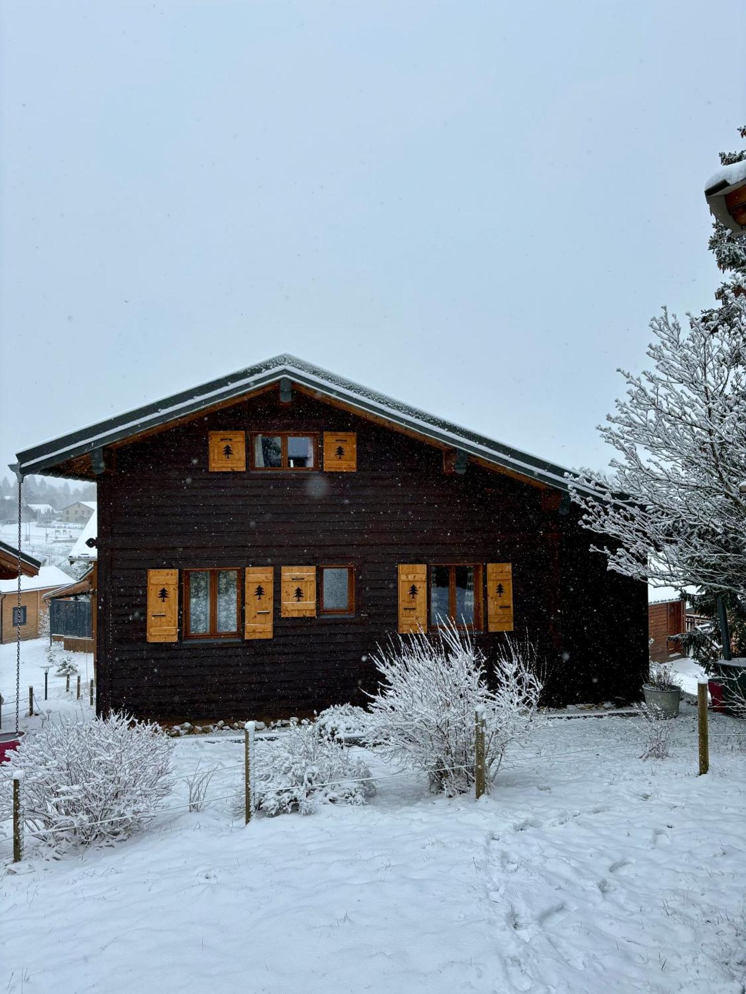 Chalet L'Embellie - Chalet Avec Piscine Partagee Saint-Laurent-en-Grandvaux Dış mekan fotoğraf