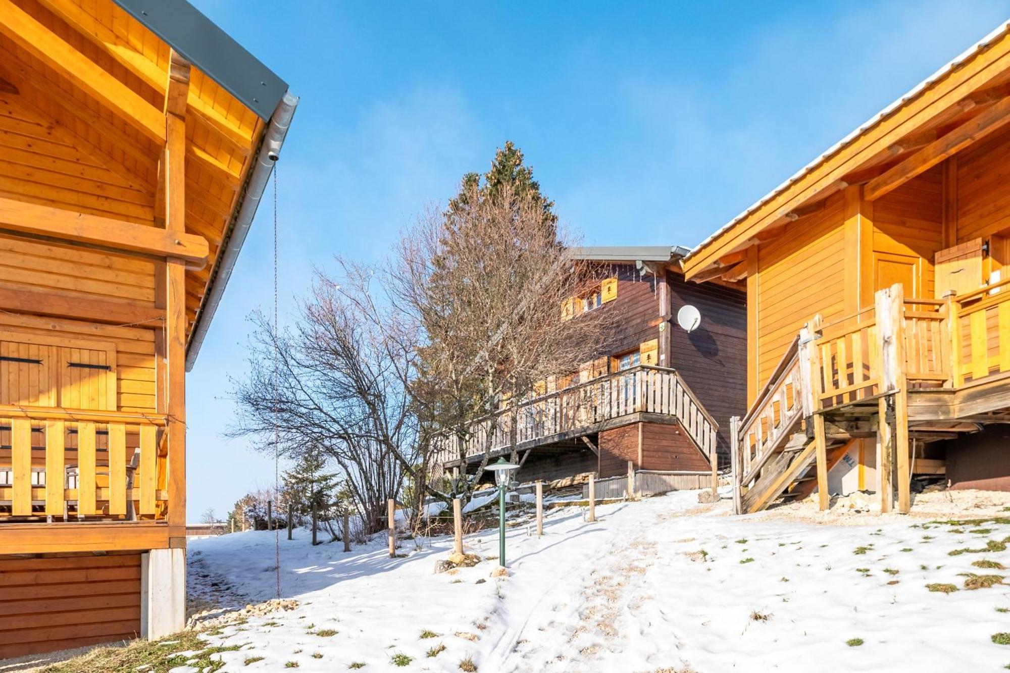 Chalet L'Embellie - Chalet Avec Piscine Partagee Saint-Laurent-en-Grandvaux Dış mekan fotoğraf